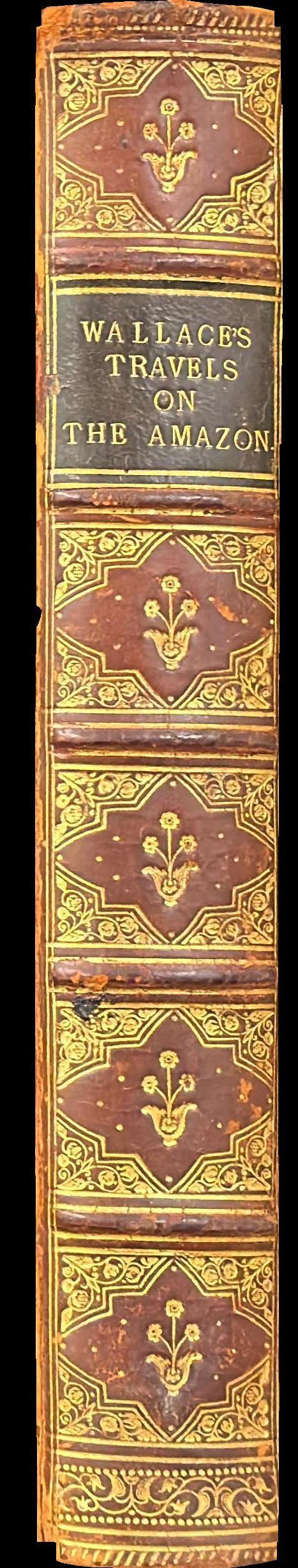 A narrative of travels on the Amazon and Rio Negro, with an account of the native tribes, and observations on the climate, geology, and natural history of the Amazon Valley / by Alfred R. Wallace spine