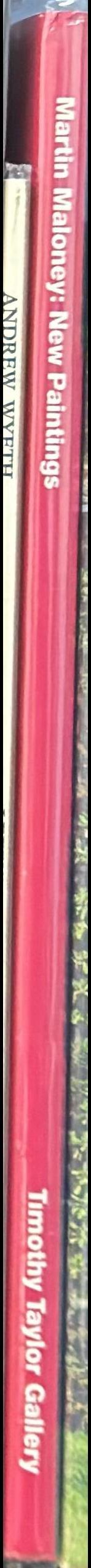 Martin Maloney : new paintings spine