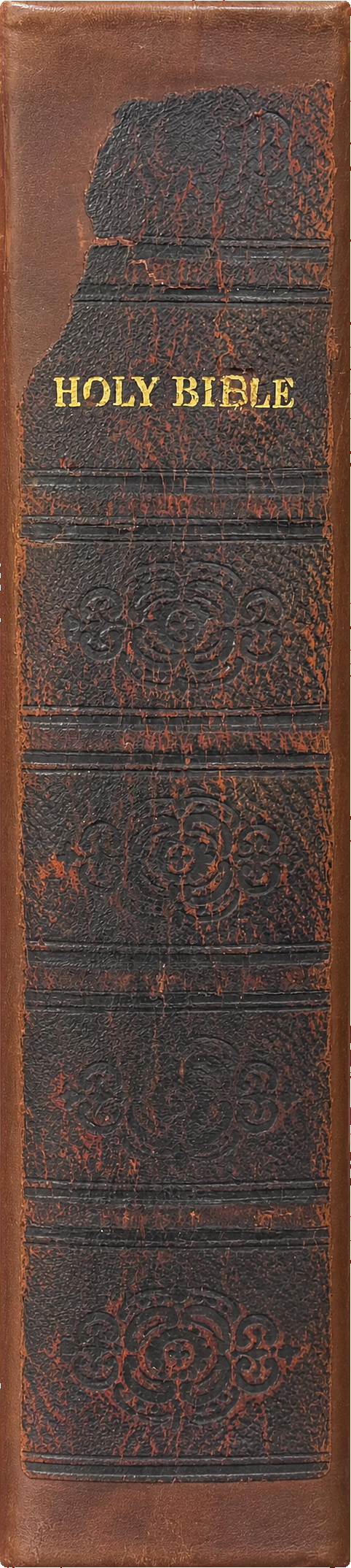 The Holy Bible : containing the Old and New Testaments; translated out of the original tongues; and with the former translations diligently compared and revised, by His Majesty's special command spine
