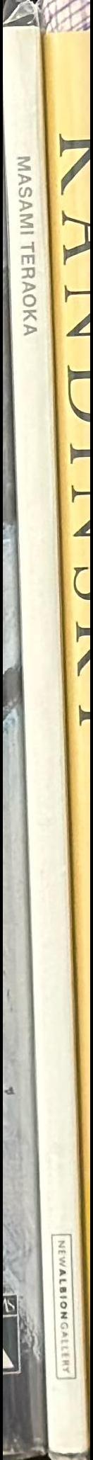 Masami Teraoka spine