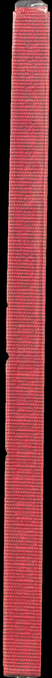 Domenico Gnoli : detail of a detail spine