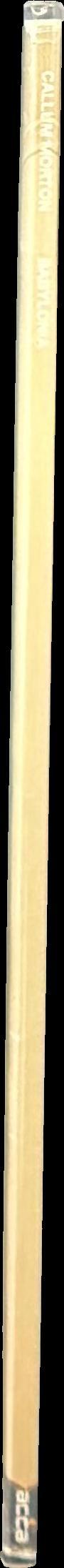 Callum Morton: Babylonia spine