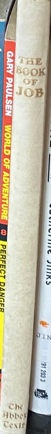 The book / Amaranth Borsuk spine