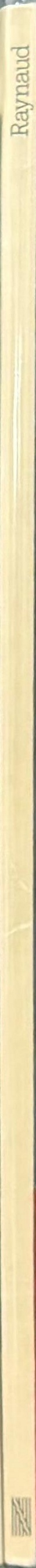 Raynaud : 1974-1978 / Centre Georges Pompidou spine