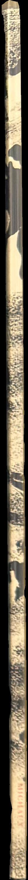 Henri Michaux / préface de Pierre Alechinsky spine