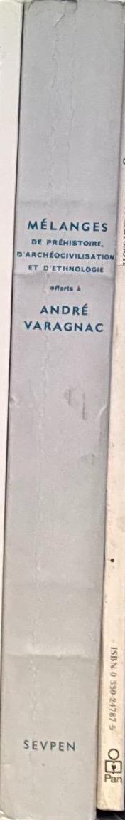 M+ / West Kowloon Cultural District spine