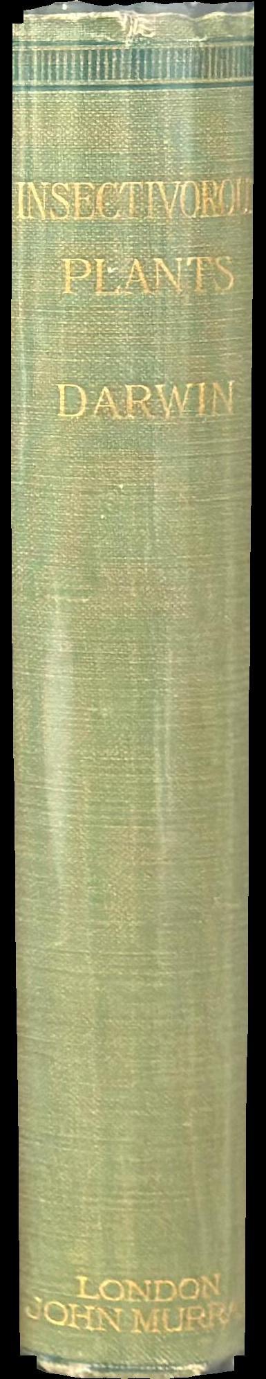 Insectivorous plants spine