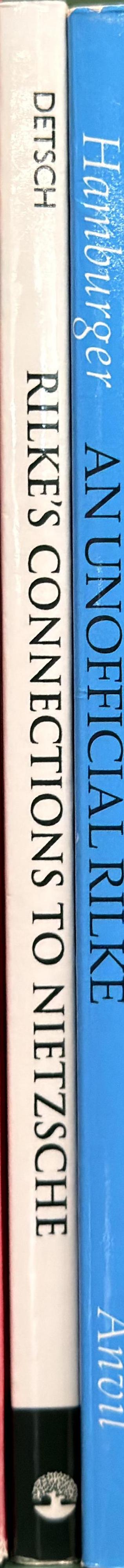 Rilke's connections to Nietzsche / Richard Detsch spine