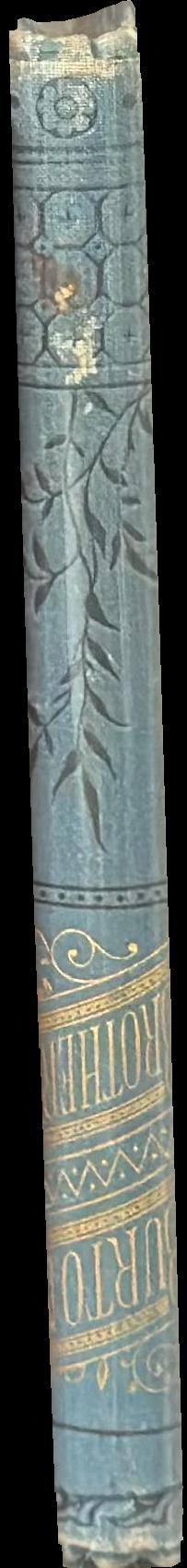 Burton Brothers : a temperance story, founded on fact spine