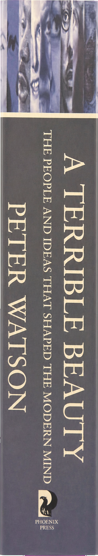 A terrible beauty : the people and ideas that shaped the modern mind : a history spine