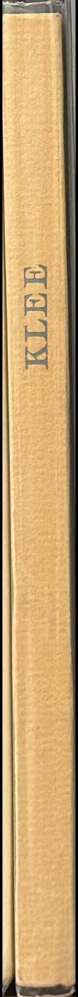 Klee spine