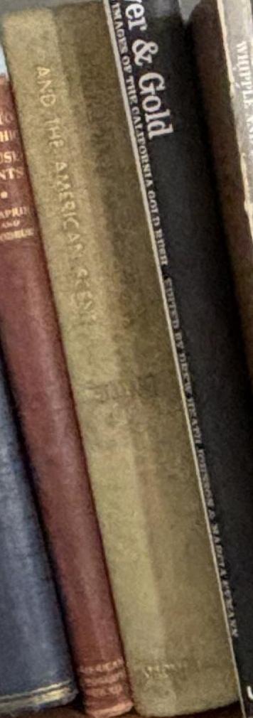 The last American man / Elizabeth Gilbert spine