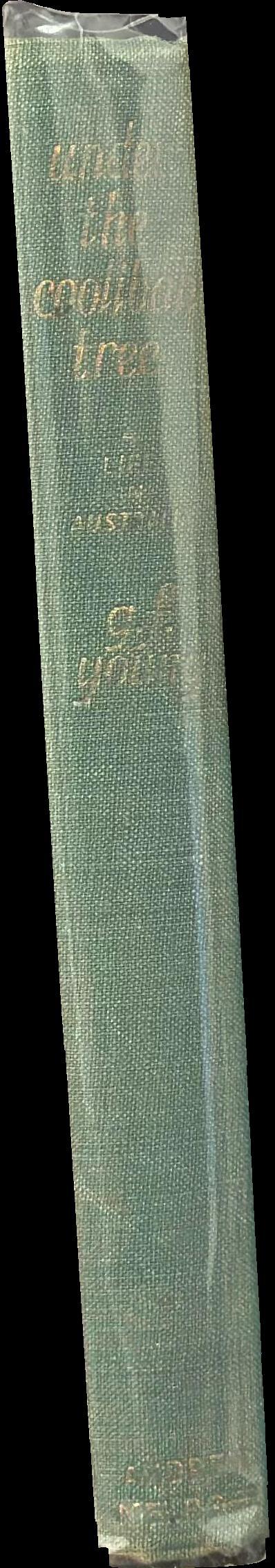 Under the coolibah tree spine