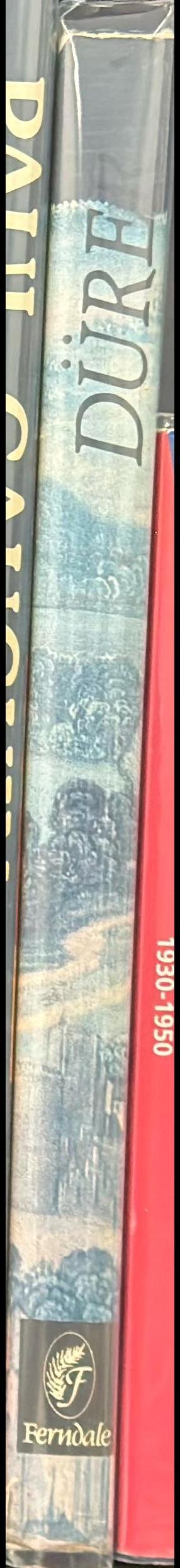 Durer spine