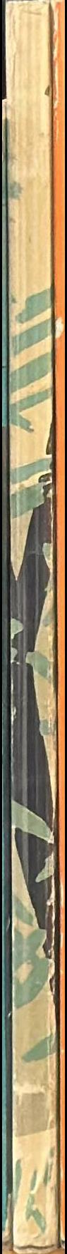 Hot stone : short stories spine