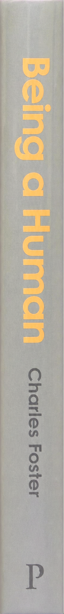 Being human : adventures in 40,000 years of consciousness spine