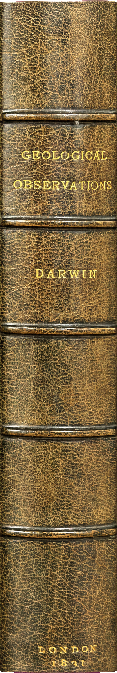 Geological observations on the volcanic islands and parts of South America visited during the voyage of H.M.S. Beagle spine