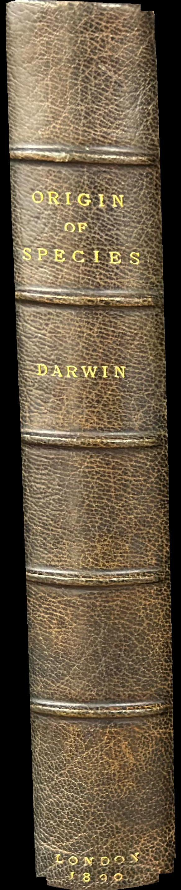 The origin of species by means of natural selection, or the preservation of favoured races in the struggle for life spine