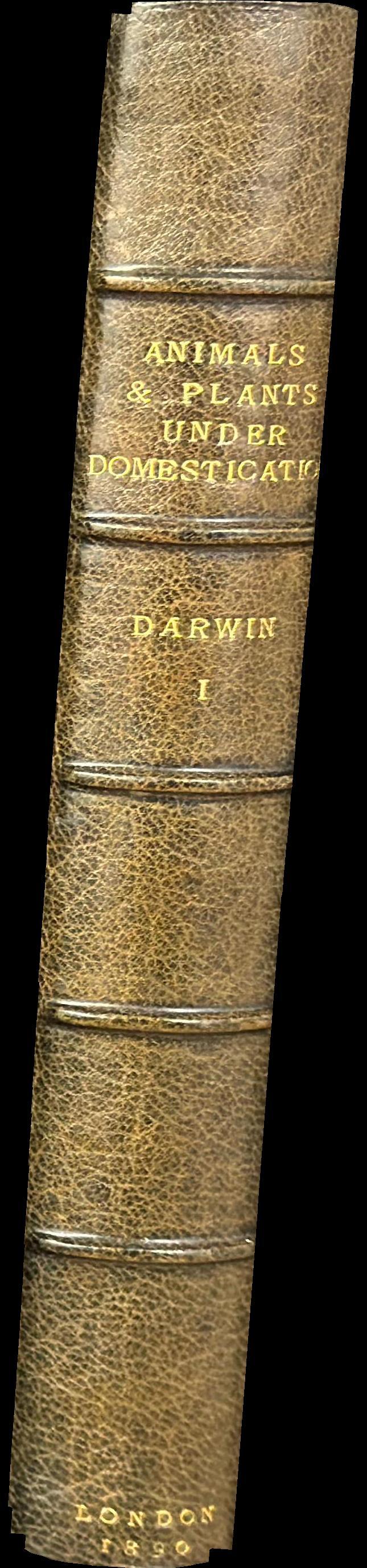 The variation of animals and plants under domestication : volume I spine