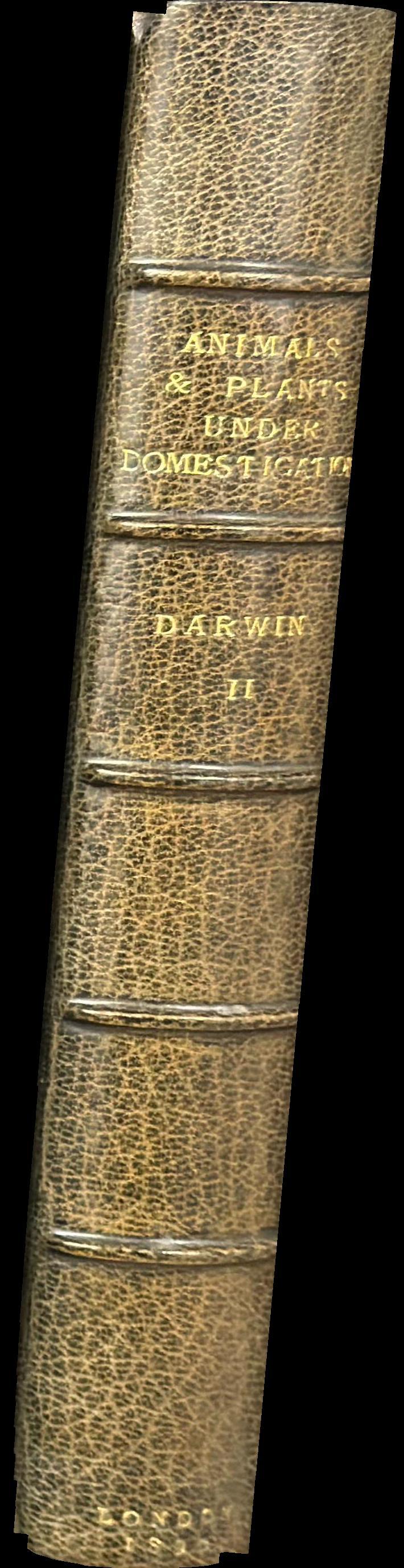 The variation of animals and plants under domestication : volume II spine
