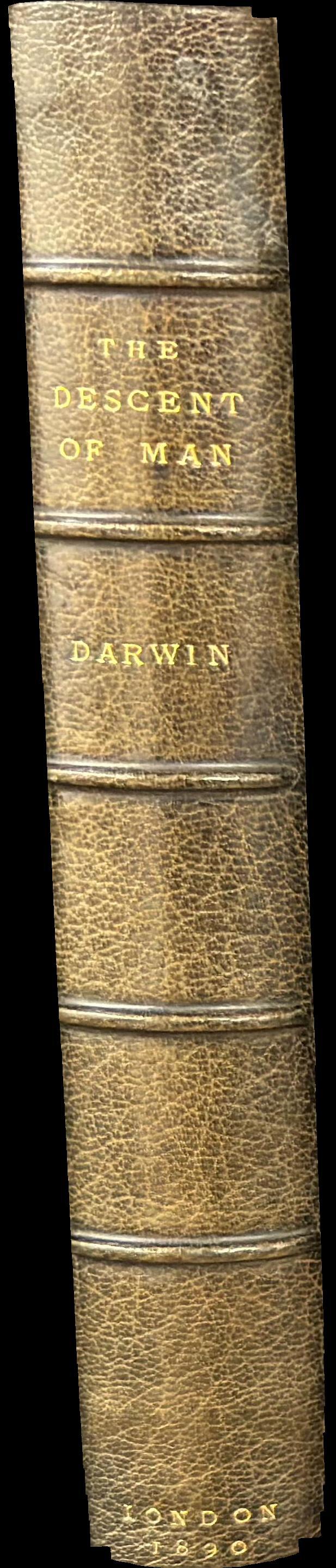 The descent of man, and selection in relation to sex spine