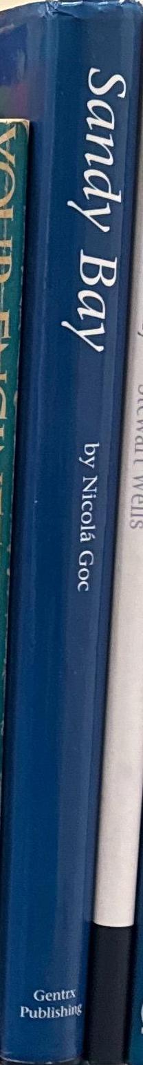 Sandy Bay / by Nicolá Goc spine