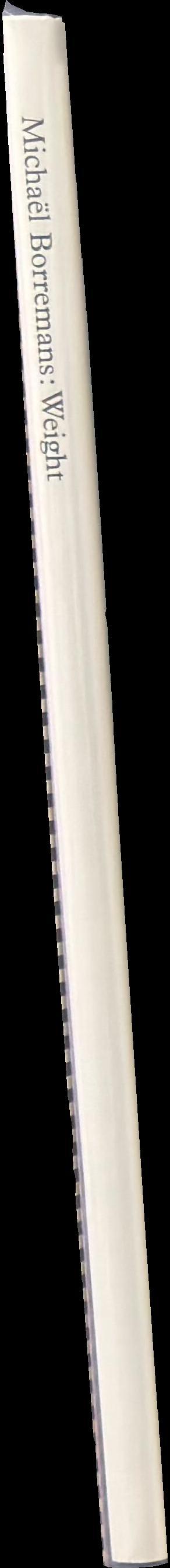 Michael Borremans : weight spine