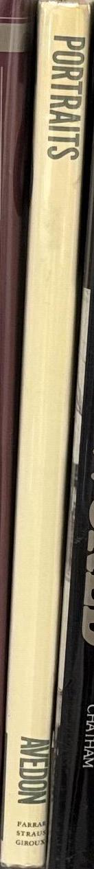 Portraits : Prinz, Steinbrener, Streuli, Worgotter spine