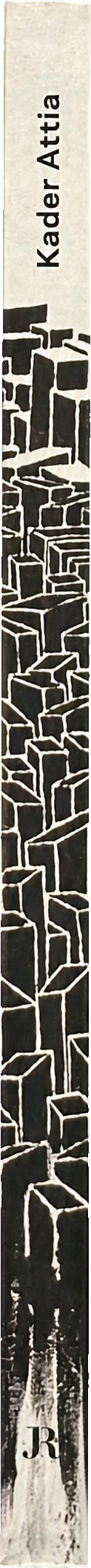 Kader Attia spine