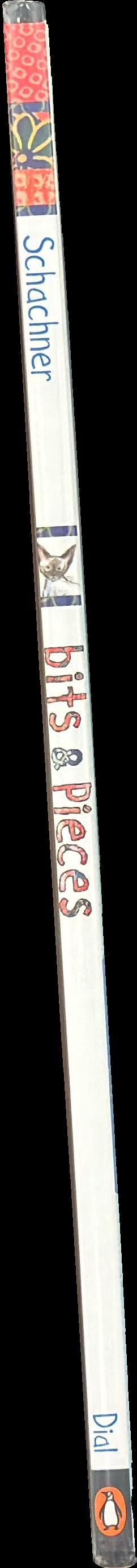 Bits & pieces / Judy Schachner spine
