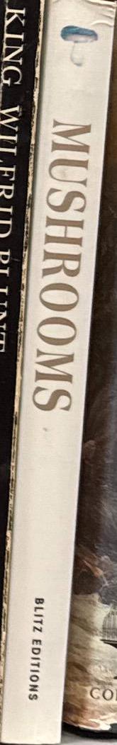 Mushroom / Sara Rich spine