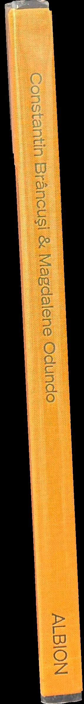 Constantin Brancusi & Magdalene Odundo spine