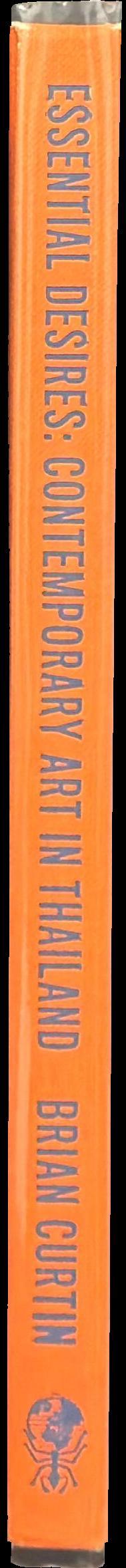 Essential desires : contemporary art in Thailand / Brian Curtain spine