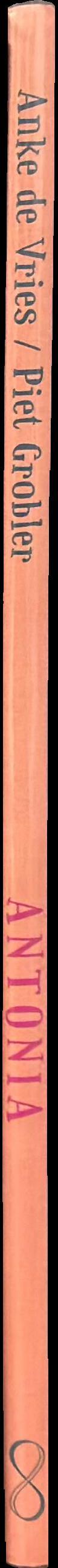 Antonia spine