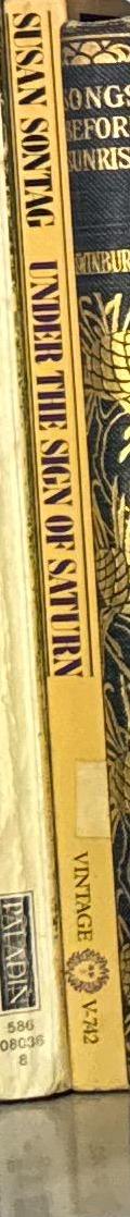 Under the sign of Saturn / Susan Sontag spine