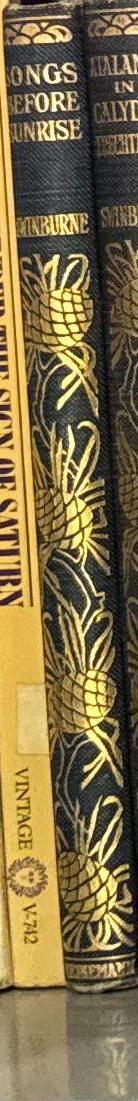 Songs before sunrise / Algernon Charles Swinburne spine
