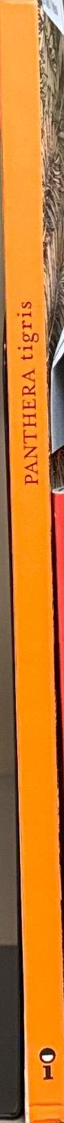 Panthera tigris \ Sylvain Alzial spine