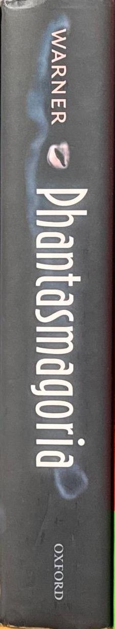 Phantasmagoria : spirit visions, metaphors, and media into the twenty-first century \ Marina Warner spine