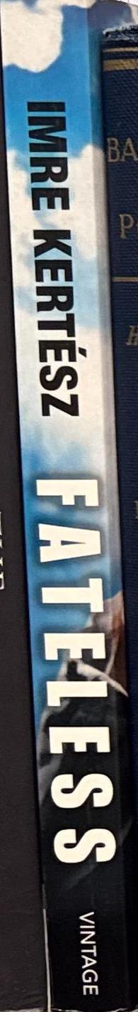 Fateless / Imre Kertész spine