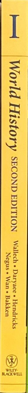 World history : a concise thematic analysis I / Steven Wallech [and 6 others] spine