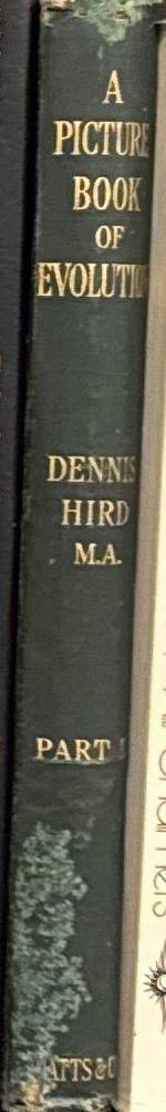 A picture book of evolution : part 1 / by Dennis Hird spine