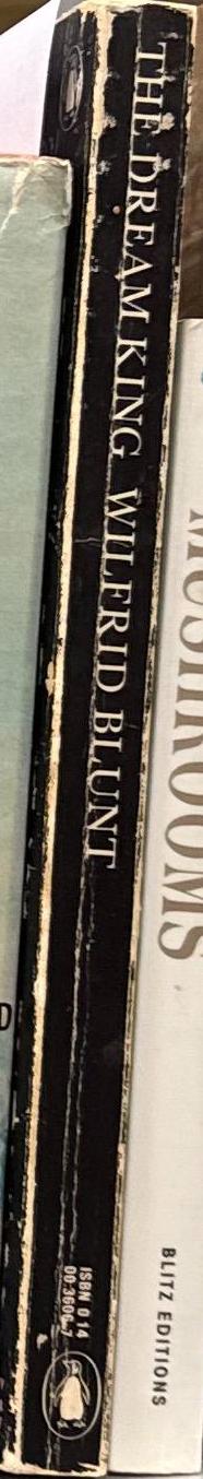 The dream king : Ludwig II of Bavaria / by Wilfrid Blunt spine