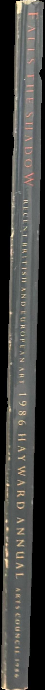 Falls the Shadow Recent British and European Art The Heyward Annual 19 spine