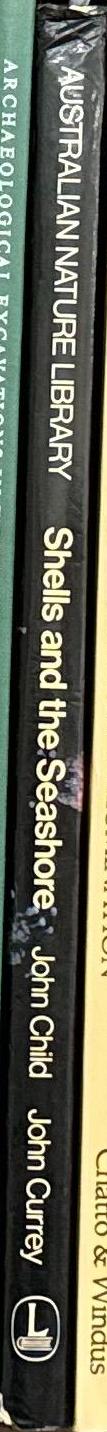 Shells and the seashore / John Child, John Currey spine