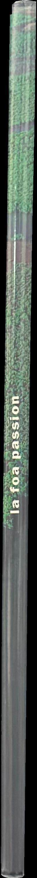 La foa passion spine