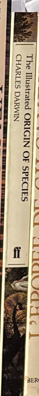 The illustrated origin of species / by Charles Darwin ; abridged & introduced by Richard Leakey ; consultants W. E. Bynum, J. A. Barrett spine