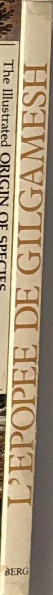 L'EPOPEE DE GILGAMESH. Texte etabli d'apres les fragments sumeriens, babyloniens, assyriens, hittites et hourites / traduit de larabe et adapte par Abed Azrie spine