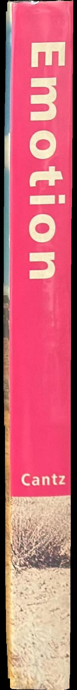 Emotion: young British and American art from the Goetz Collection spine