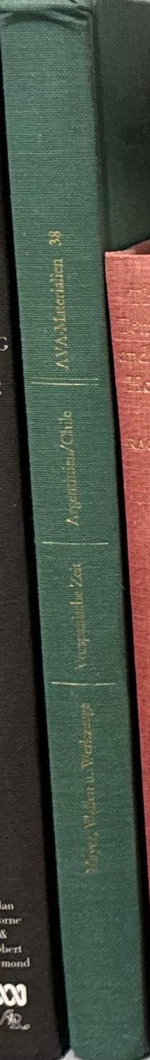 Vorspanische Metallwaffen und -werkseuge in Argentinien und Chile spine