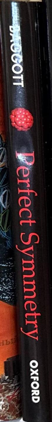 Perfect symmetry : the accidental discovery of buckminsterfullerene / Jim Baggot spine